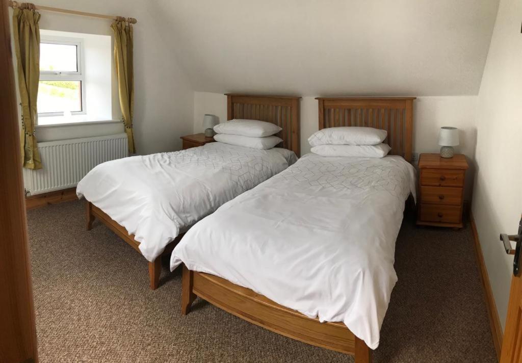 Joes Cottage Clarecastle Luaran gambar
